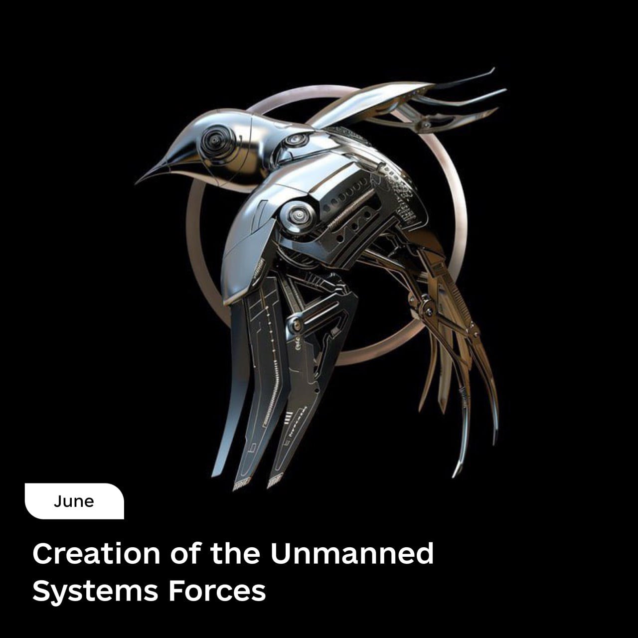 Ukraine Forms Unmanned Systems Forces