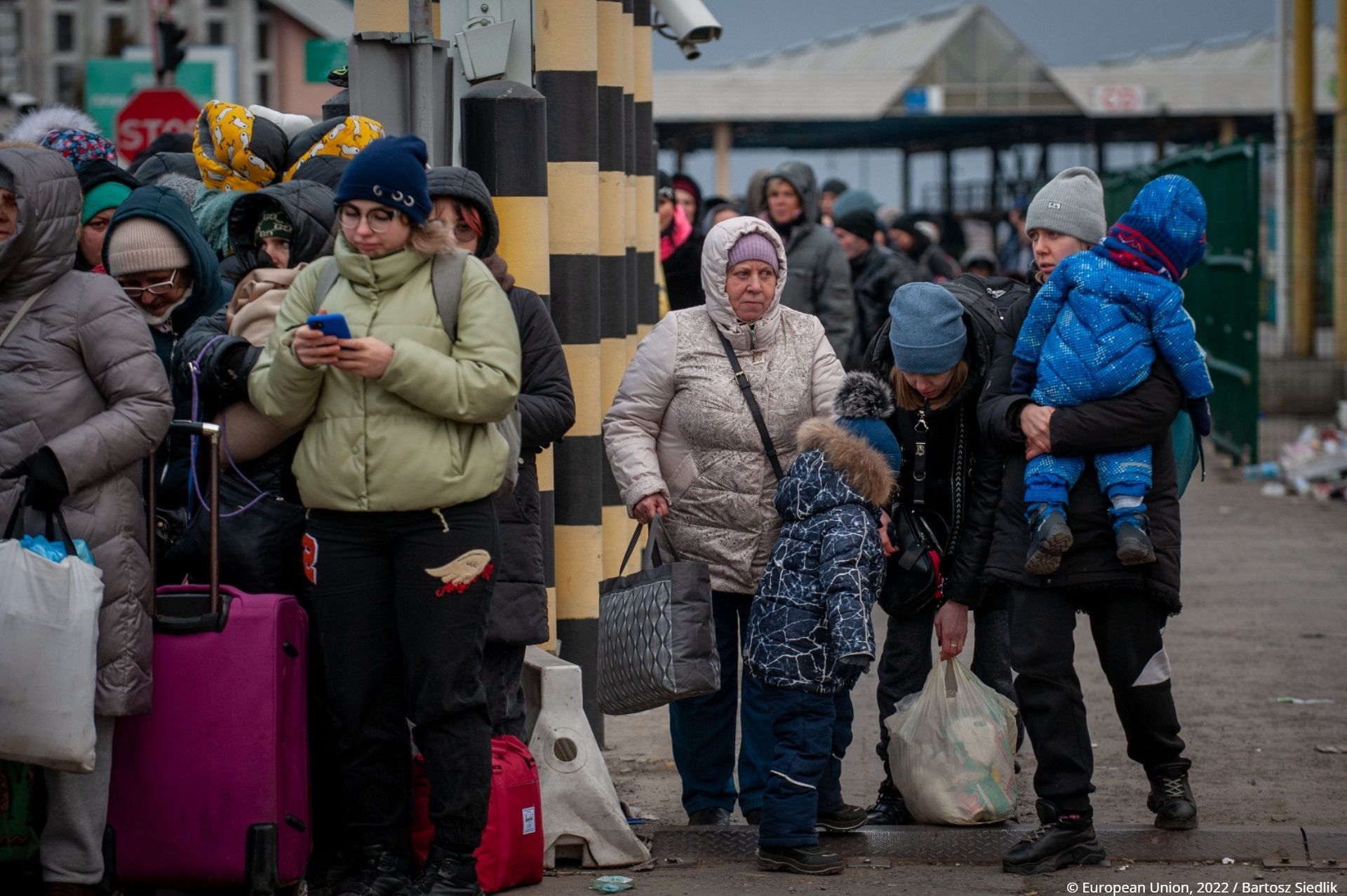 Ukrainian women’s employment in Austria surges fivefold, nearing men’s rate.