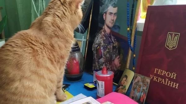 Cat Mars guards KIA soldier Taras Matviyev’s portrait for 4 years