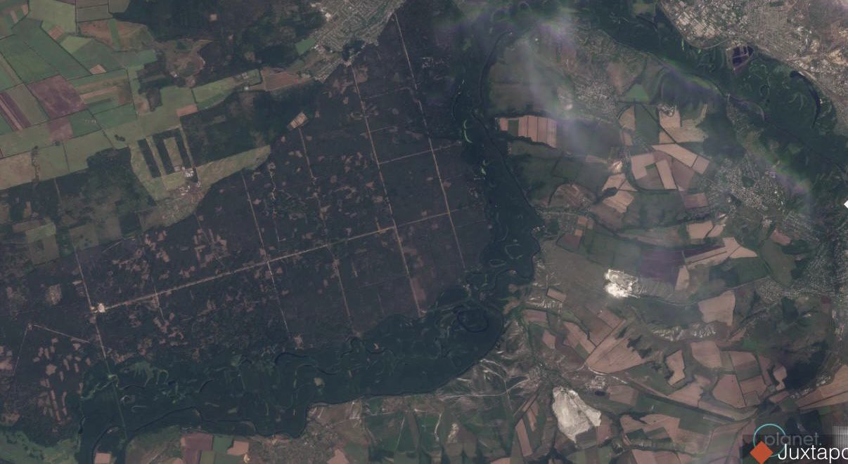 Russia destroys 60,000 hectares of Ukrainian forests