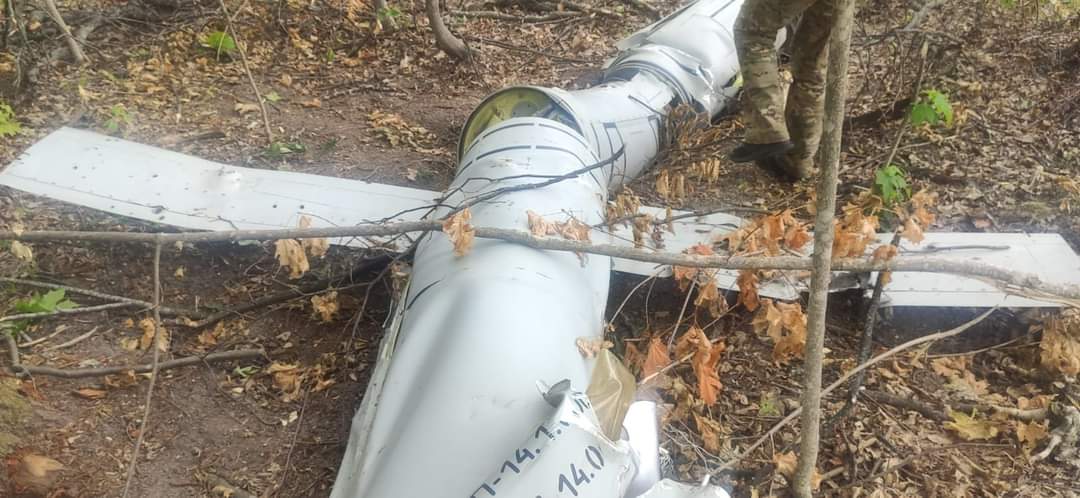 Unexploded ordnance from occupiers found in forests