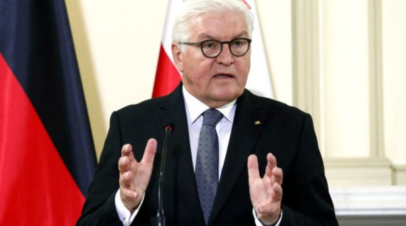 Steinmeier Defends Scholz After Zelensky’s Criticism, Urges Waiting for Kyiv Visit