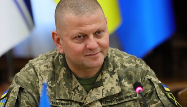 Zaluzhnyi discussed with Mille transition to NATO weapons