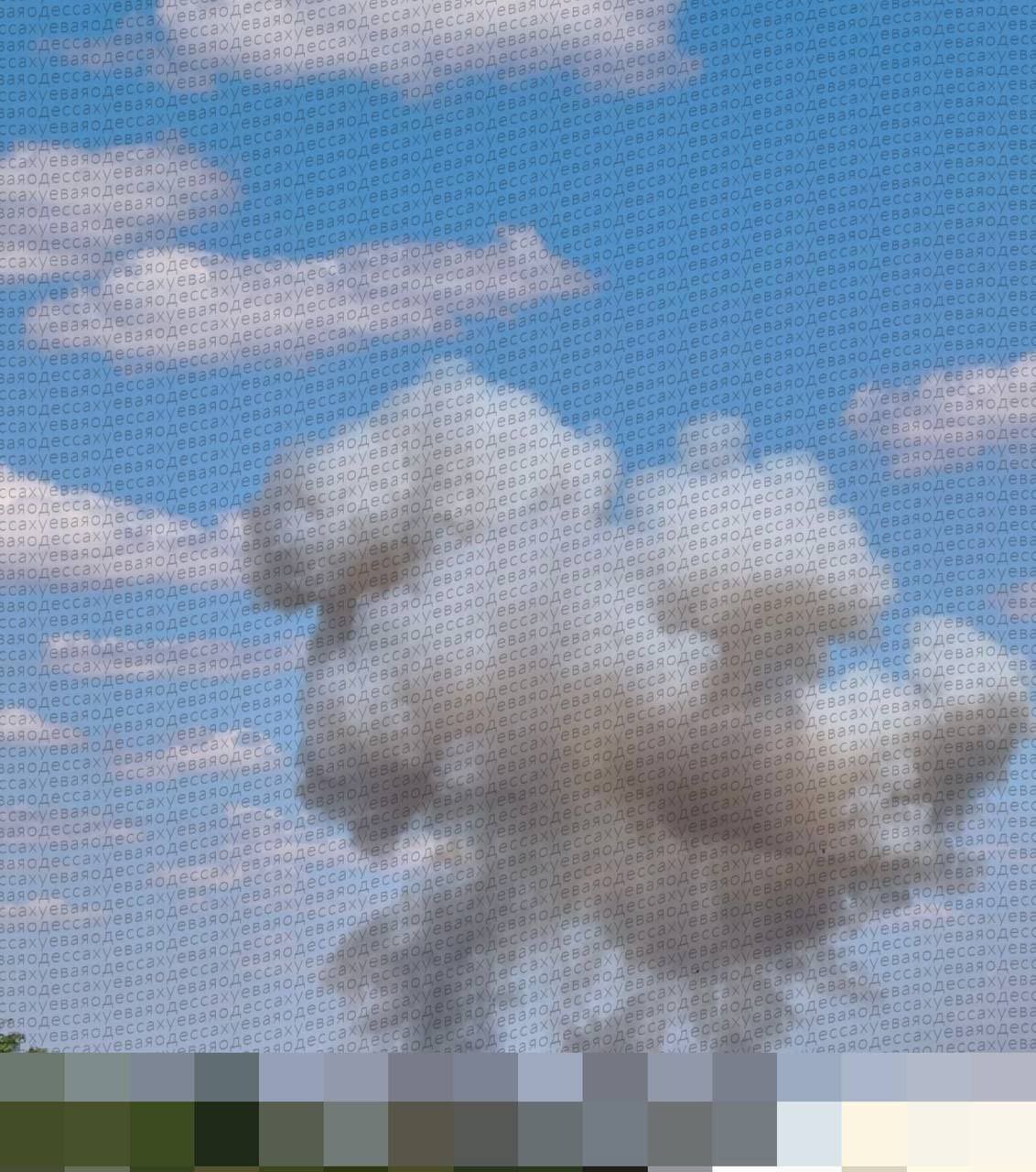 Russian missiles strike Odesa