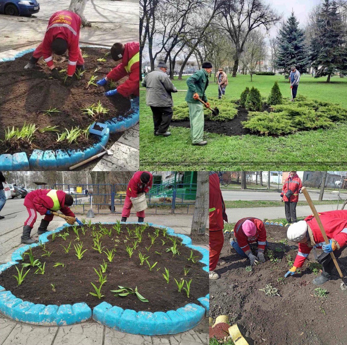 Kharkiv utilities plant flowers under shelling