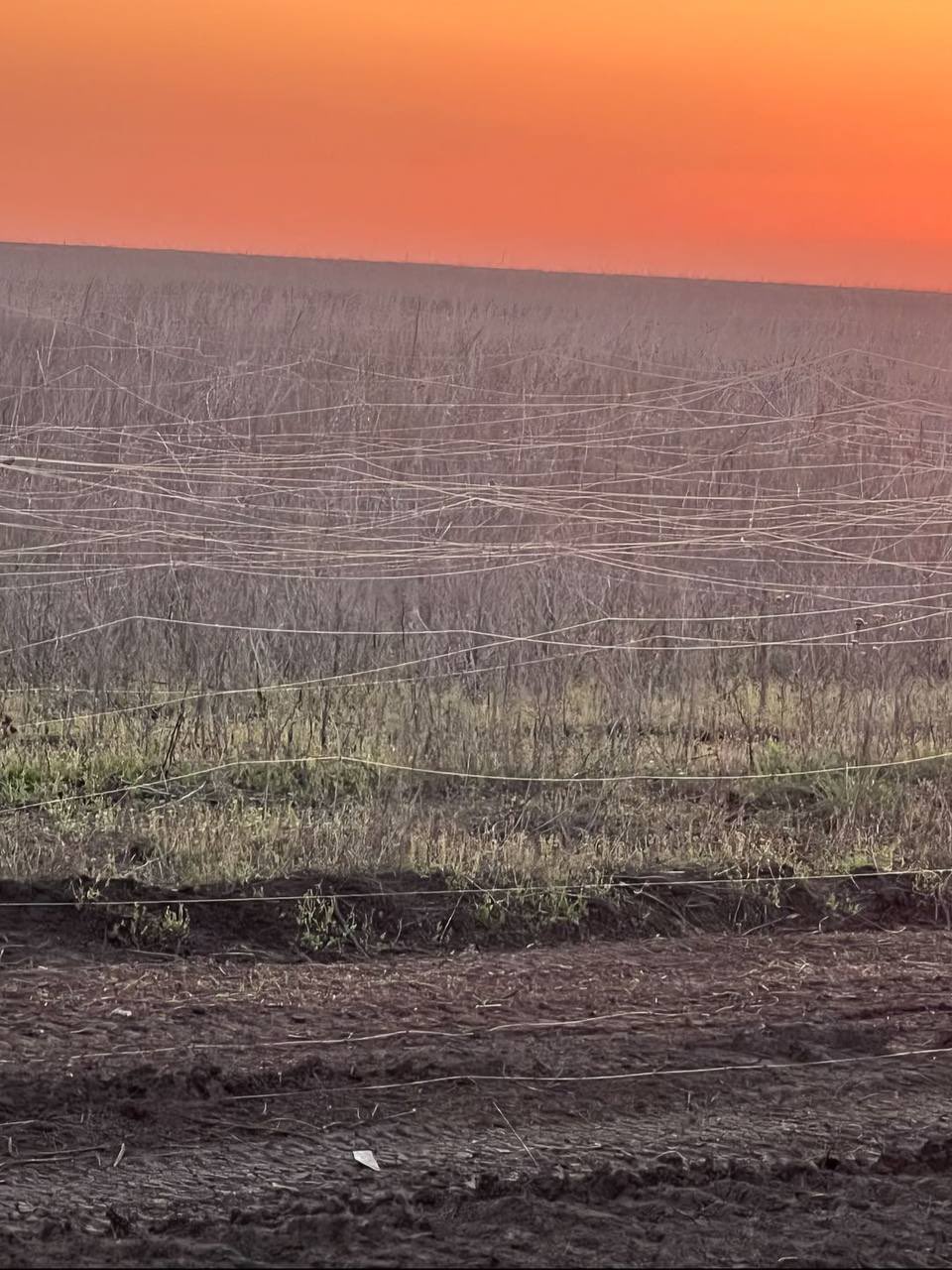 Fields covered with drone fiber-optic networks