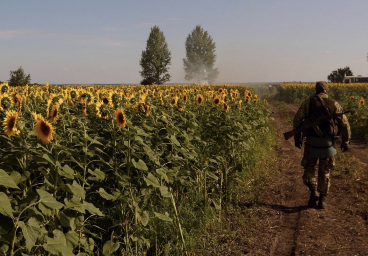 Constitution Day of Ukraine: Values and Struggle