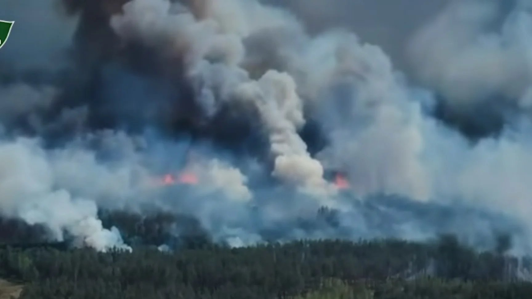 Five-kilometer wildfire in Chernihiv Oblast