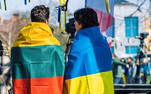 Lithuanian PM: Return of men of conscription age to Ukraine should be discussed at EU level