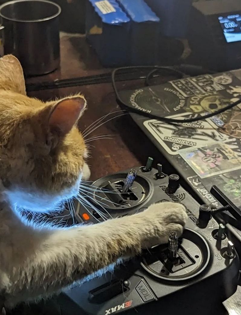 New intern joins the ranks of our Defenders