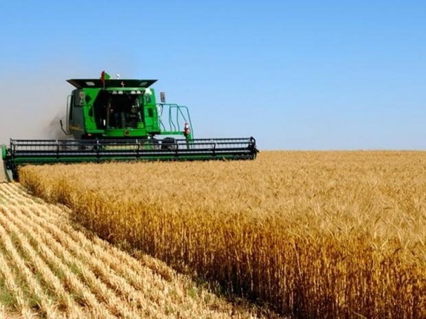 EU countries call on Russia to lift blockade on Ukrainian grain exports