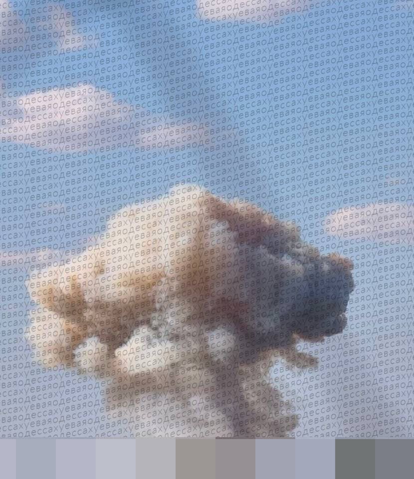 Russian ballistic missiles strike Odesa again, smoke rises