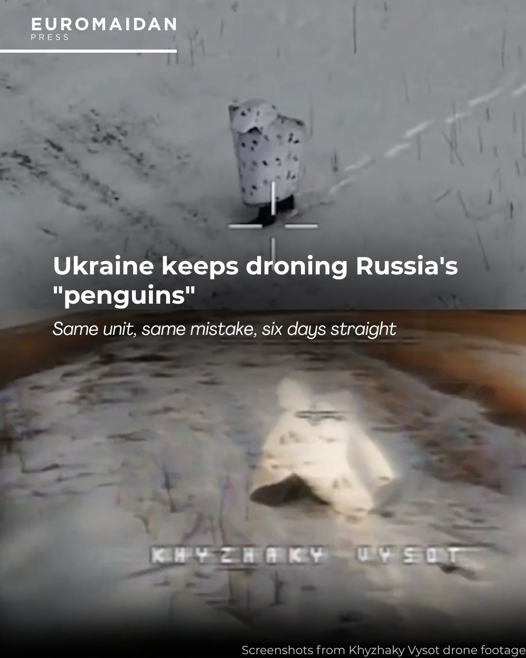 Ukraine cible les “penguins” russes avec des drones
