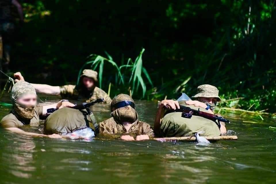 Training scouts with Territorial Defense brigade