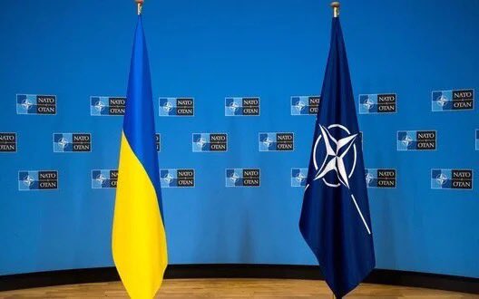 NATO Deputy Secretary General: All Members Support Ukraine’s Accession