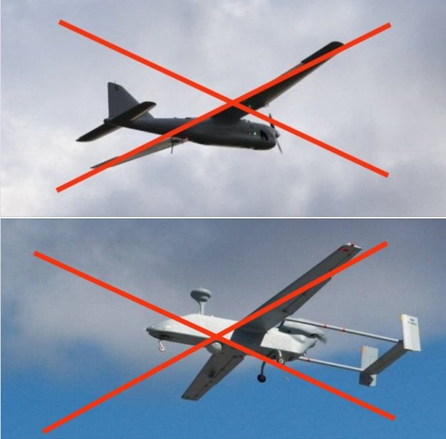 Ukraine downs Russian Forpost and Orlan-10 drones in southern skies