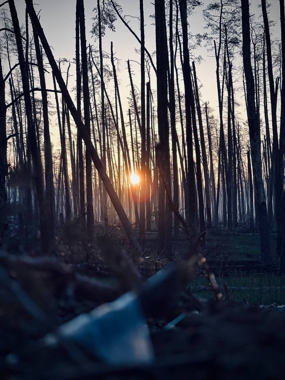 War in the forest through a Ukrainian soldier’s eyes