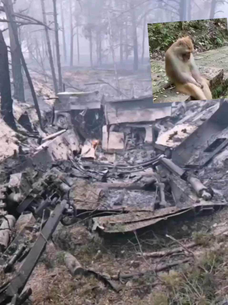 Russian 2S5 Giatsint-S destroyed in Kherson region