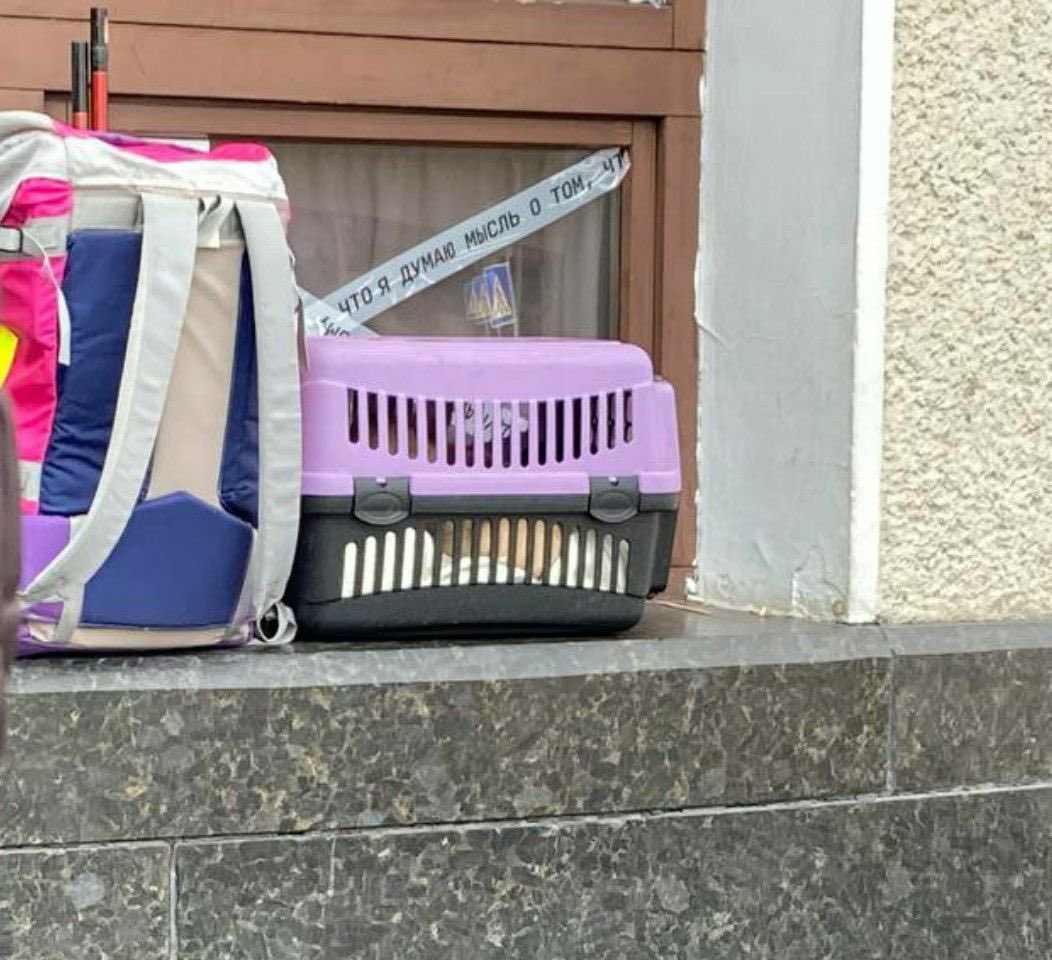 Pets during the war in Ukraine