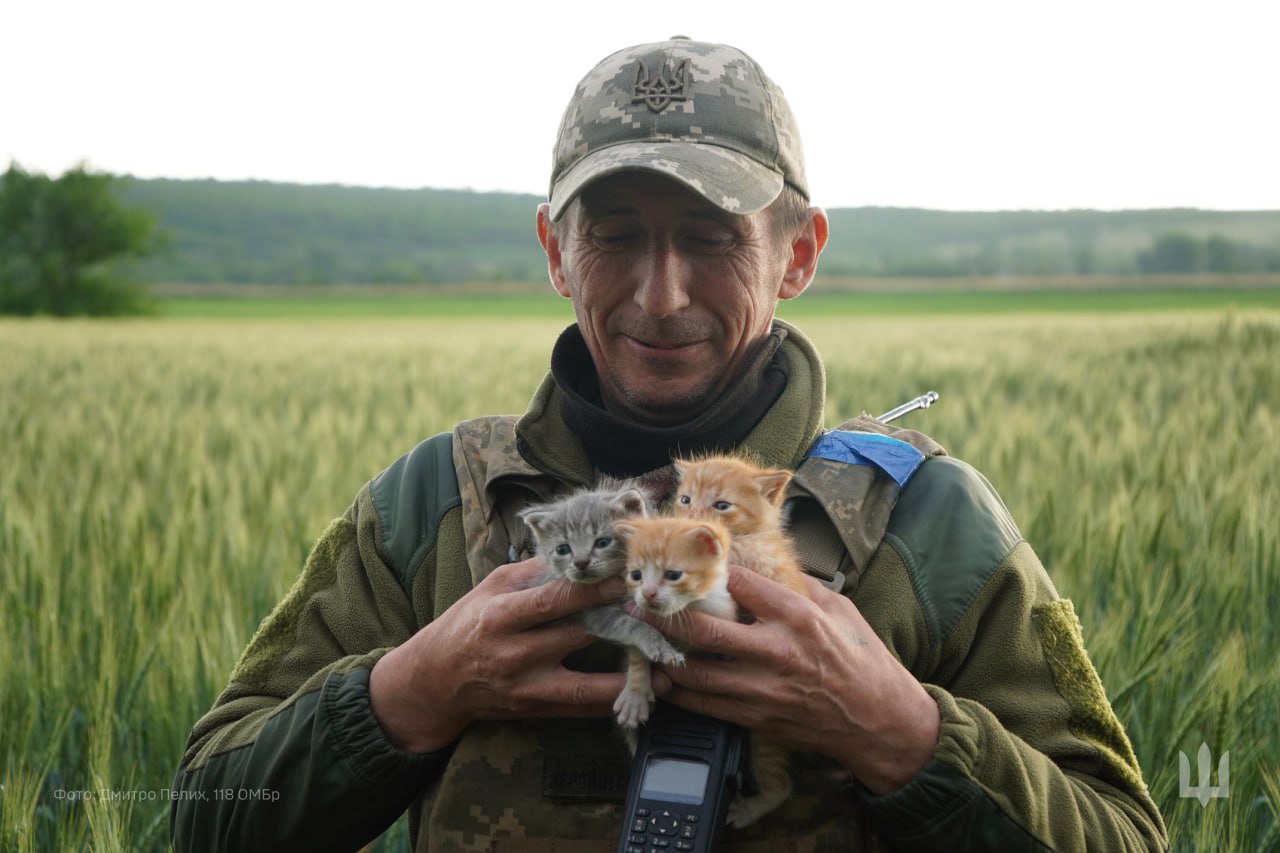 Kittens Found by Soldier from 118th Brigade