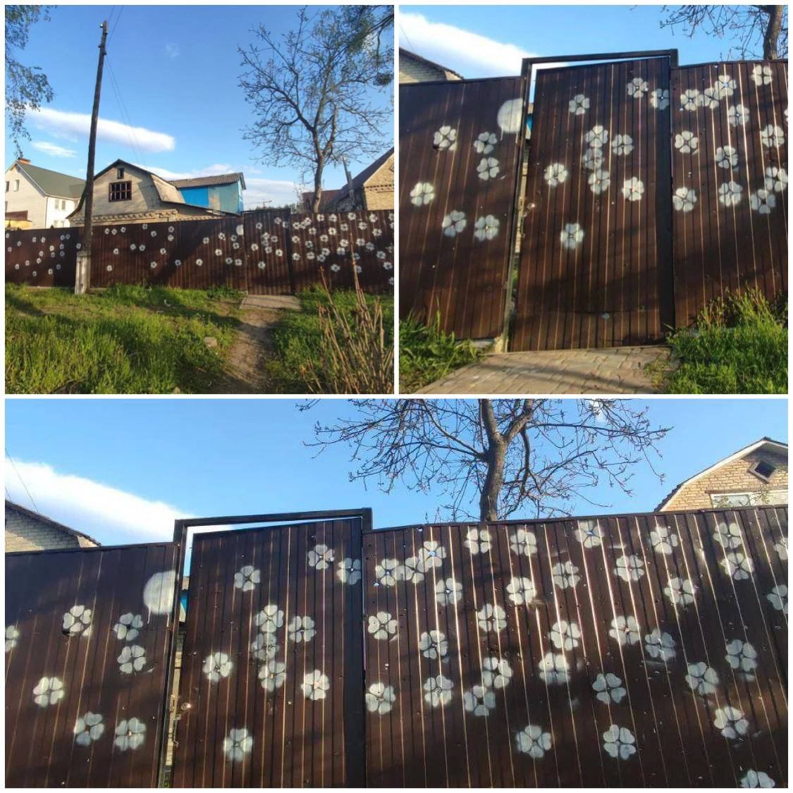 Flowers instead of bullets in Hostomel