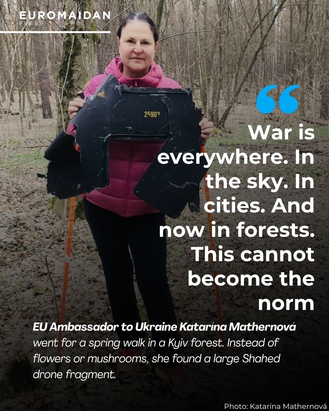 EU Ambassador Finds Shahed Drone Fragment During Kyiv Forest Walk