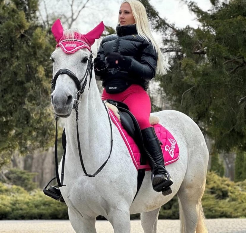 Barbie the horse, stable lost to war