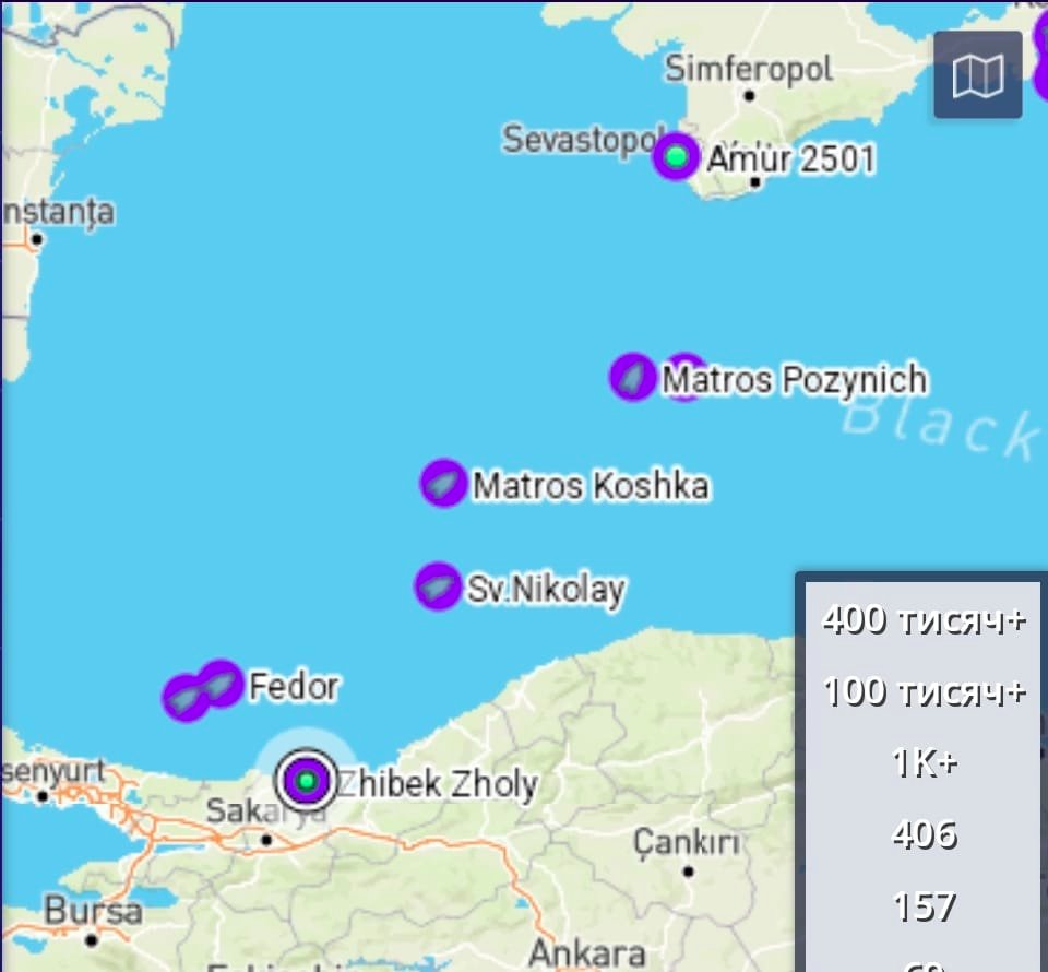 Turkey for first time checks stolen Ukrainian grain origin on Russian ships