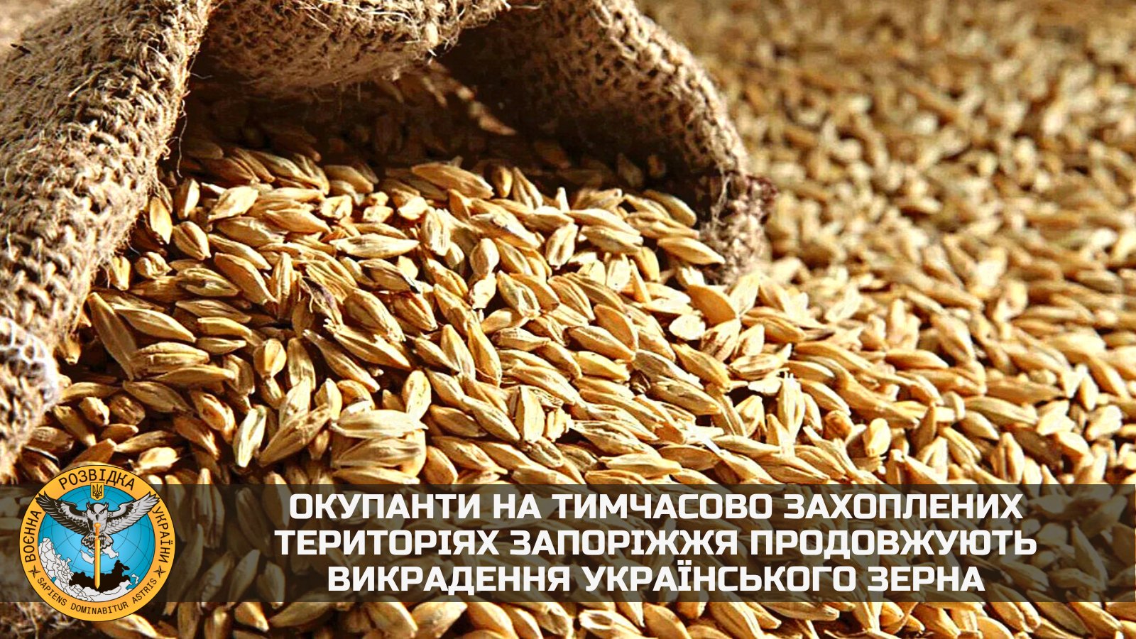 Occupants continue to steal Ukrainian grain