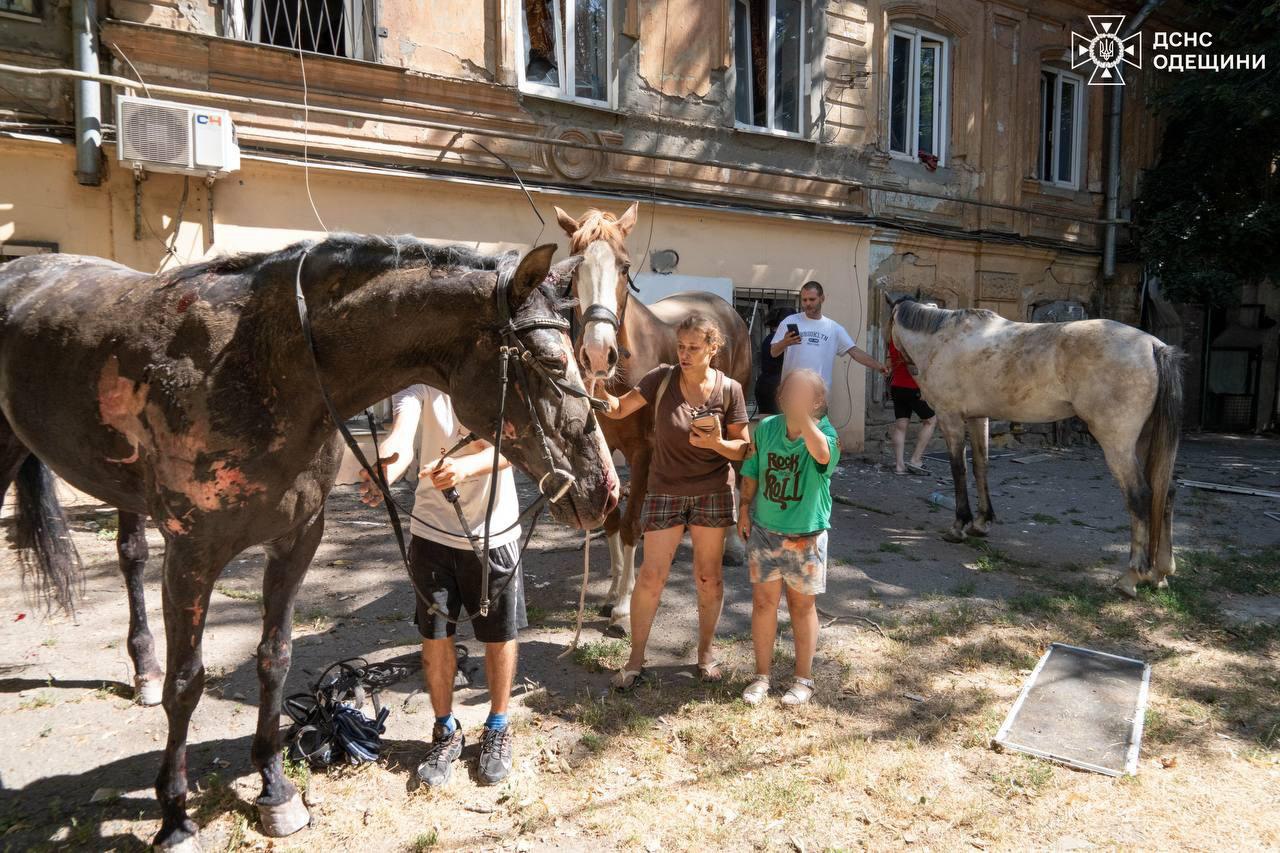 Russian drone injures 11 in Odesa, hits horse stable