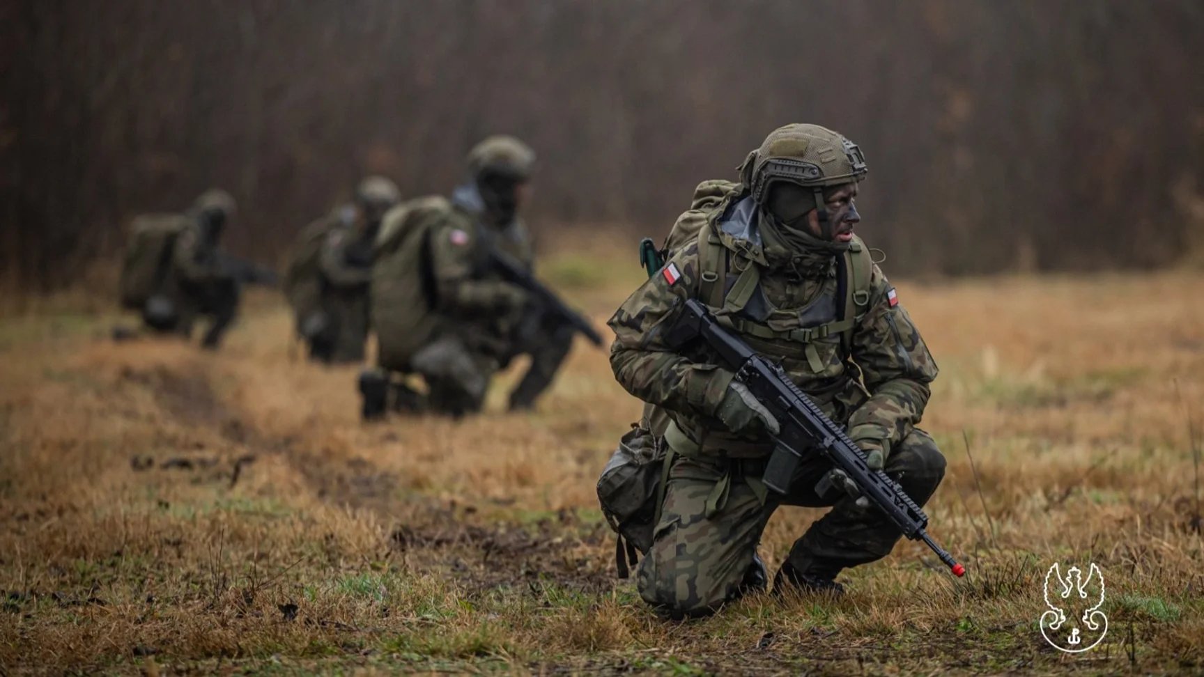 Sikorski: Sending Polish troops to Ukraine aids Russian propaganda