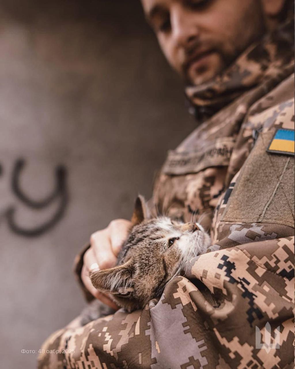Fuzzy Stress Reliever of 48th Artillery Brigade