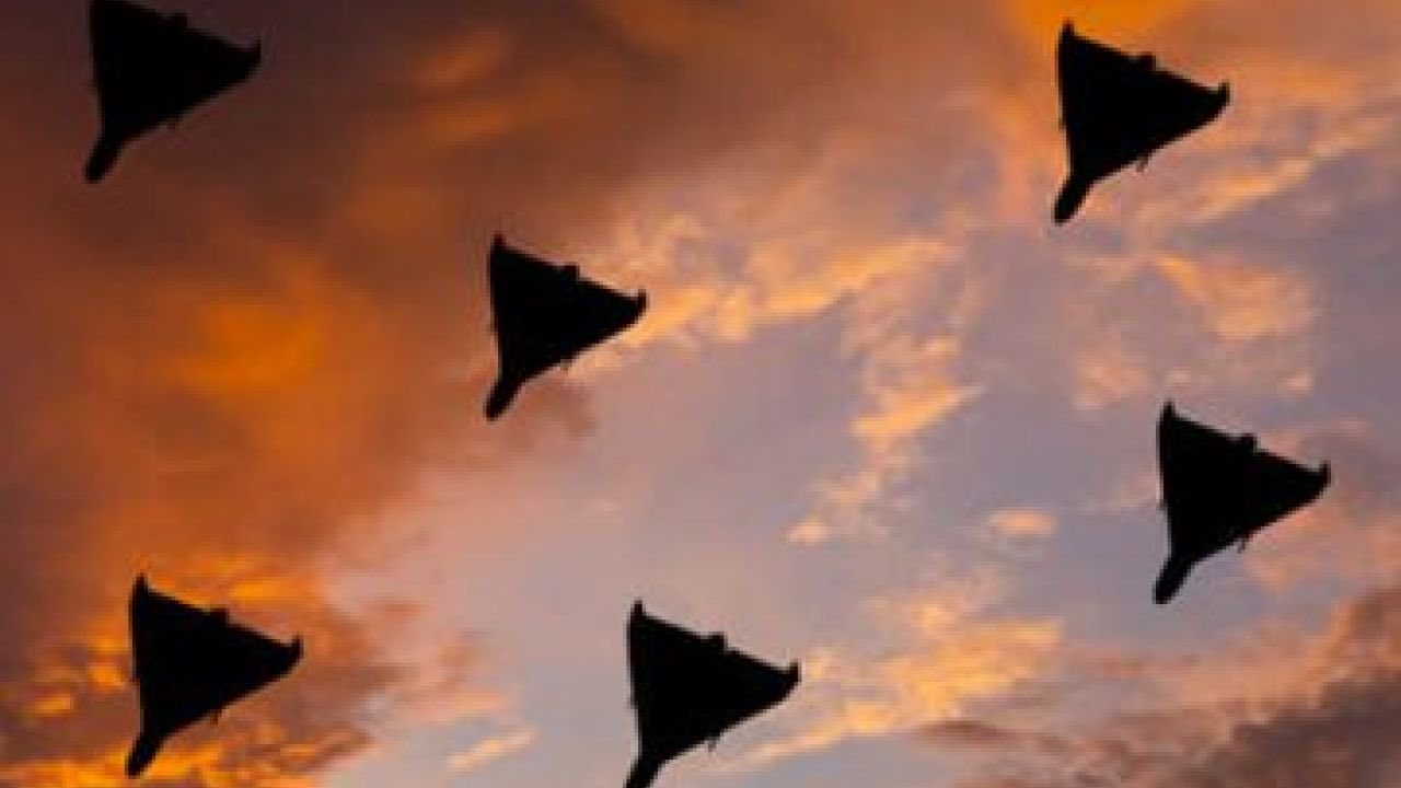 Russia ramps up drone production to overwhelm Ukrainian air defenses
