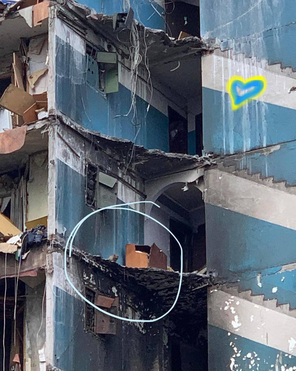 Rescuers evacuate kitty from shelled house in Borodyanka