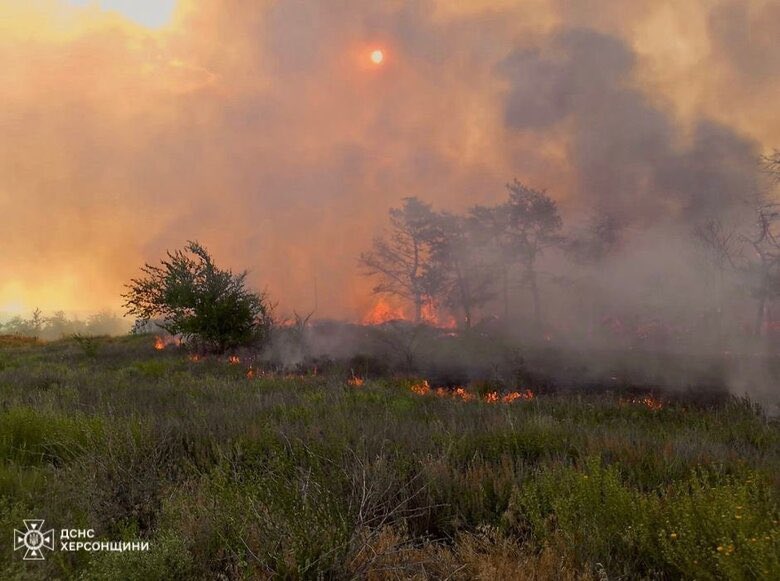 Russian strikes destroy 16 hectares in Kherson region