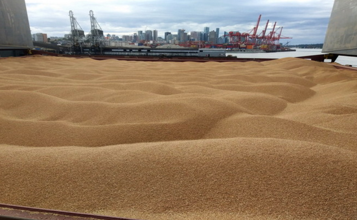 Documents for “grain corridor” to be signed in Istanbul tomorrow