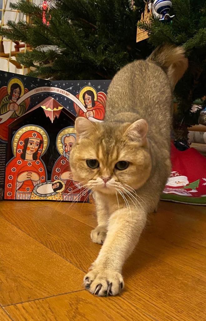 Christmas in Ukraine: Hope in Dark Times