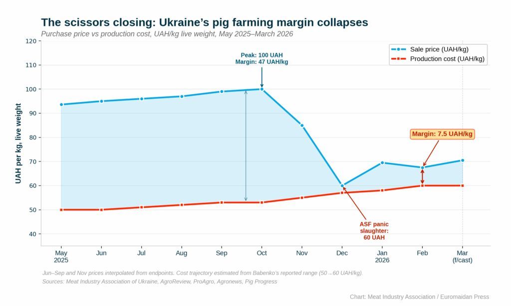 EU mandates ventilation for Ukrainian pigs amid Russian blackouts, Spanish ASF surplus