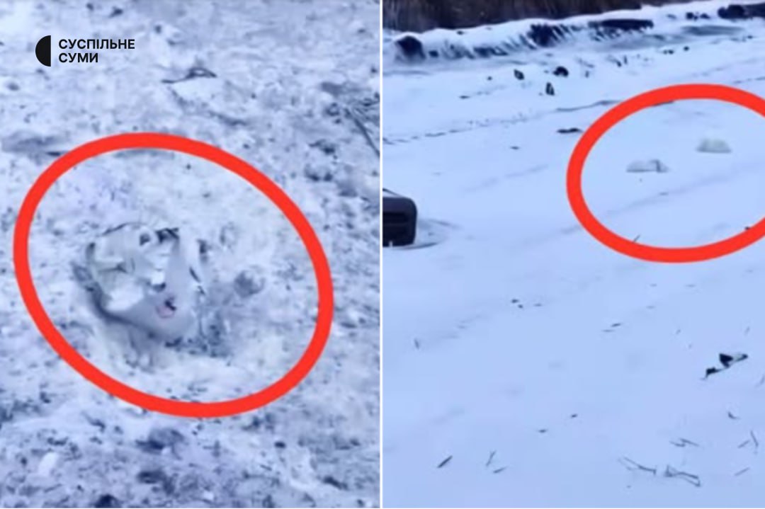 Occupants remotely mine Sumy Oblast with white sacks