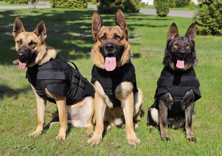 US Police Donate Dog Armor to Border Guards