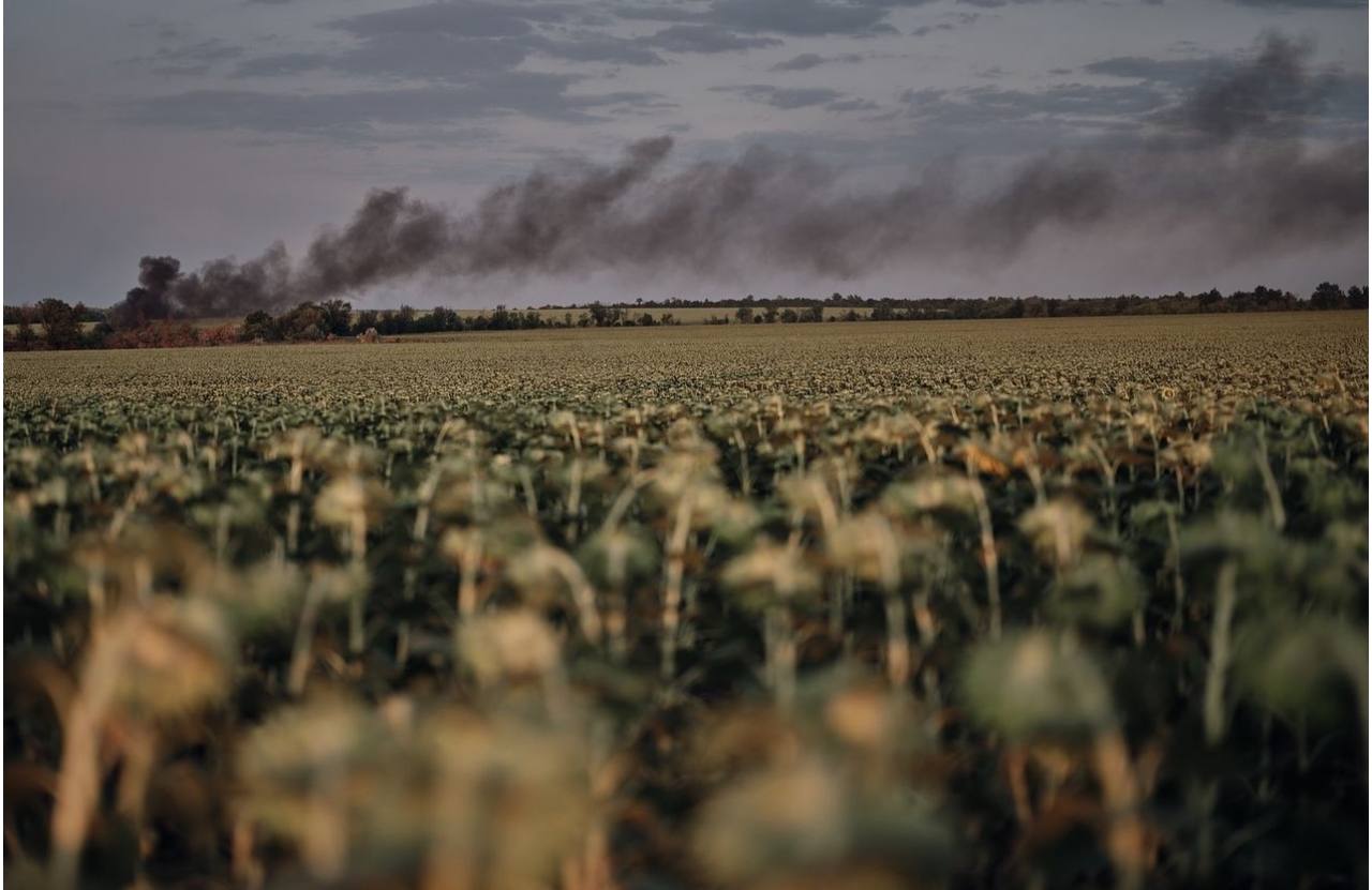 Harvest for Ukrainian Farmers Near the Front