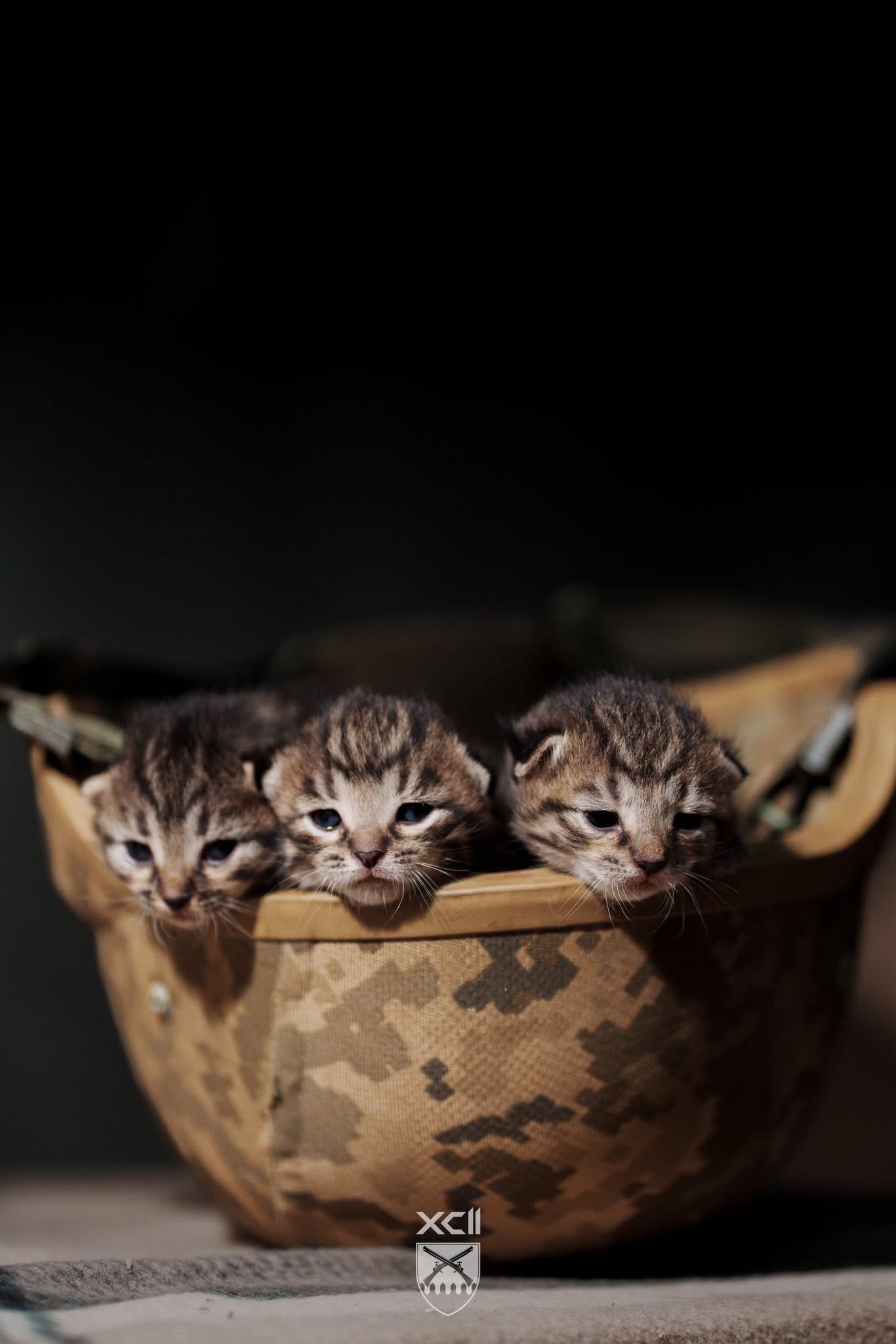 Even in war, warmth finds a place