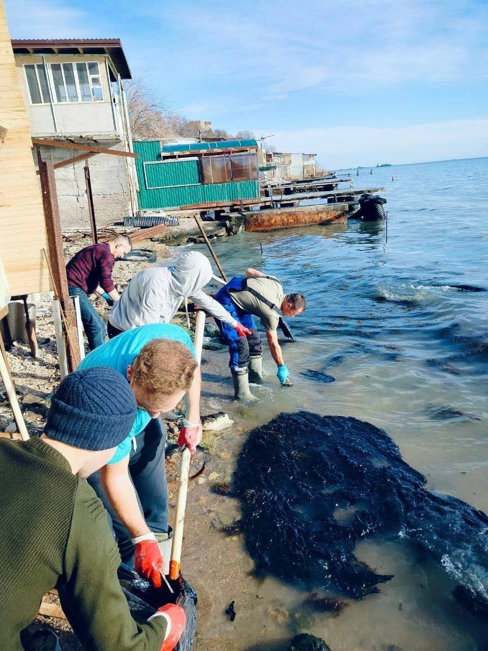 Algae-laden mazout washes ashore in Kerch