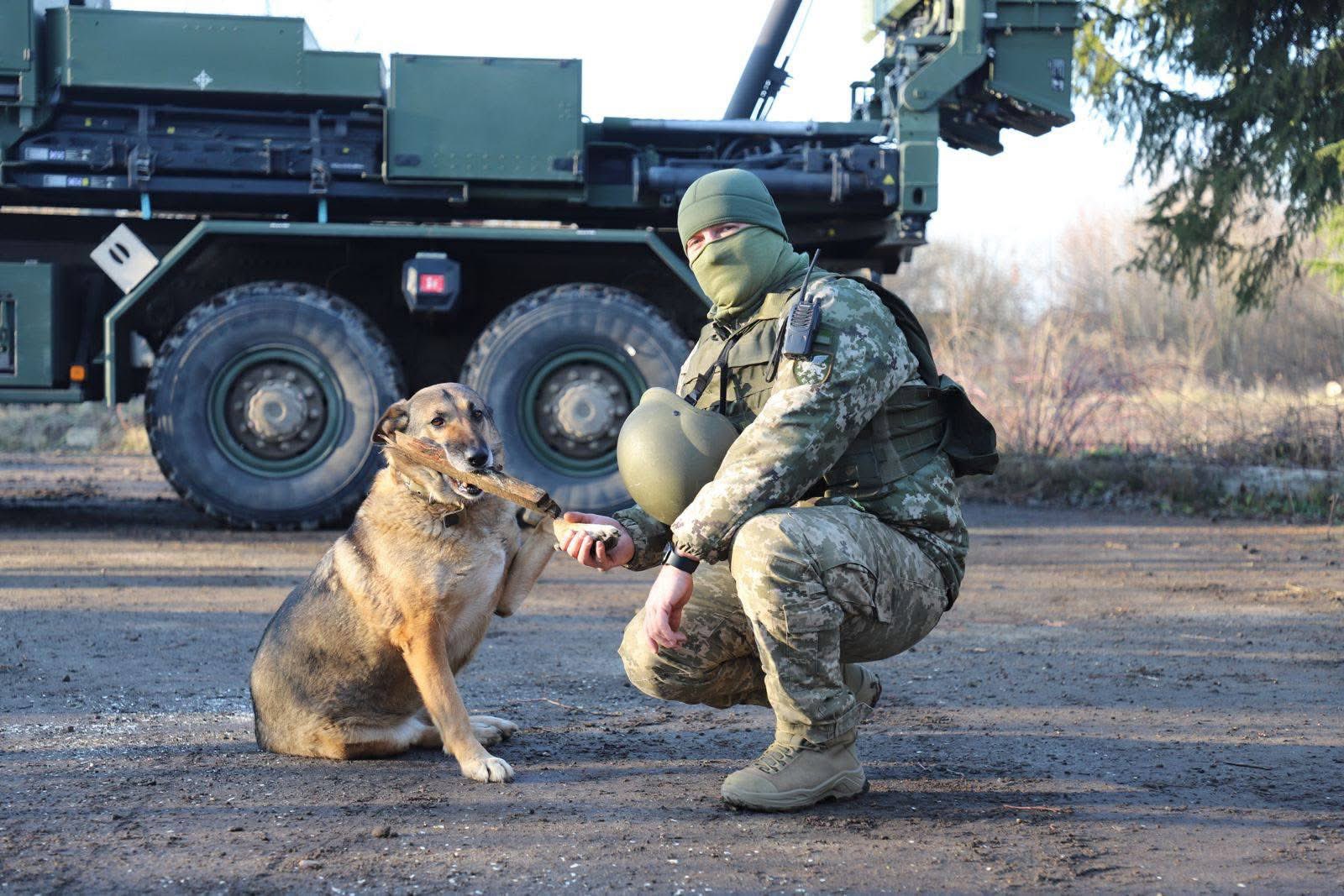 Raketa: Hero Dog Who Helped Shoot Down Seven Enemy Targets Near Bucha