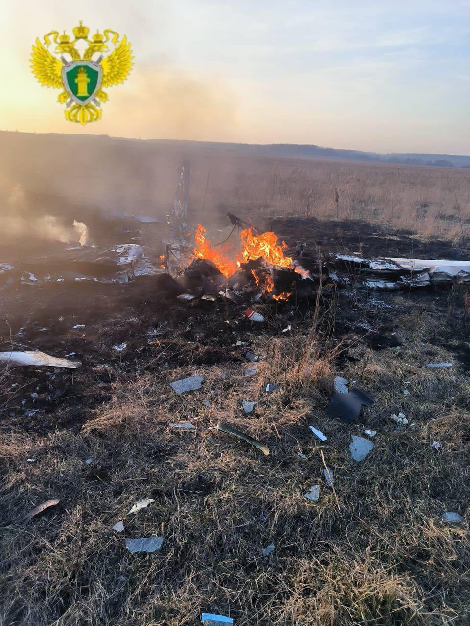 Light aircraft crashes in Moscow region, cadets and instructors killed