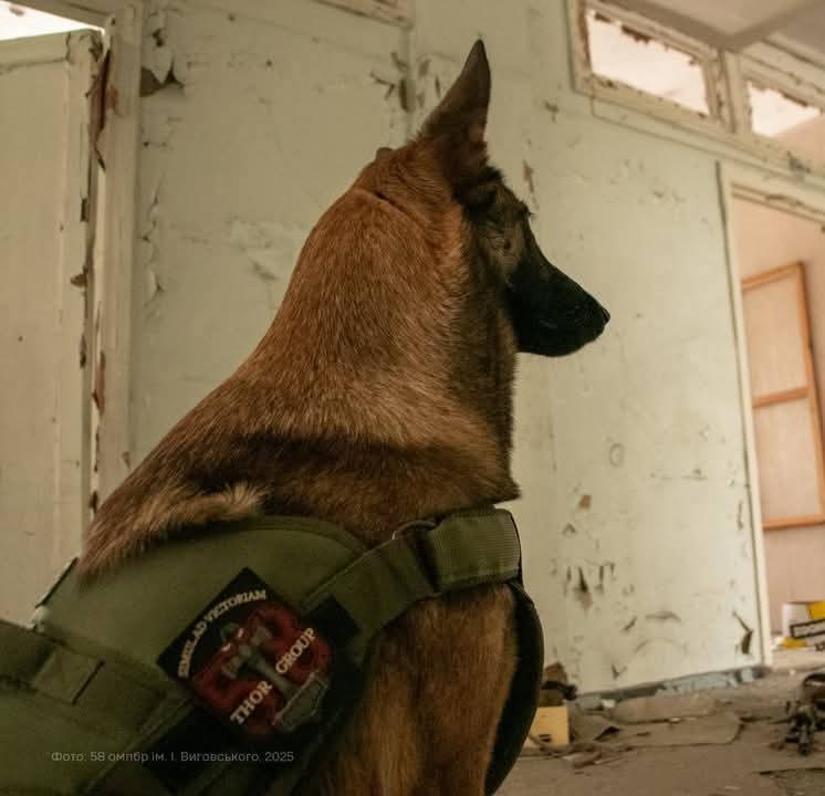 Athena – Full-Fledged Fighter of the 58th Motorized Brigade, Drone Operator