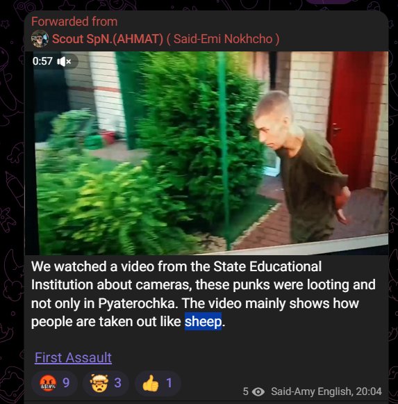 Akhmat complains about RU POWs, but not like sheep.