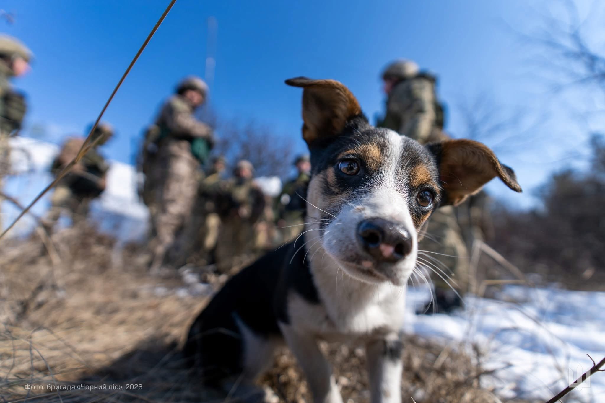 15th Artillery Reconnaissance Brigade Update