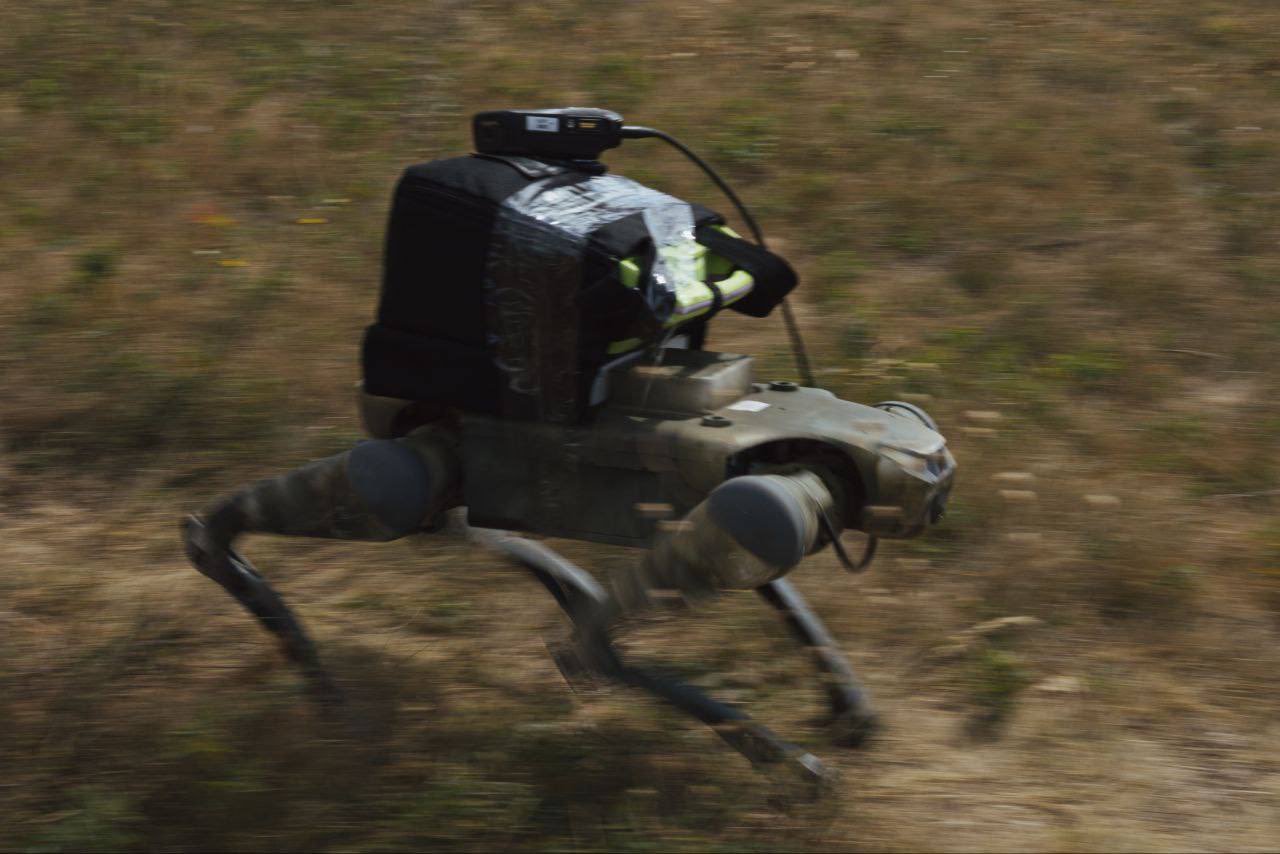 Ukrainian military uses dog-like robots