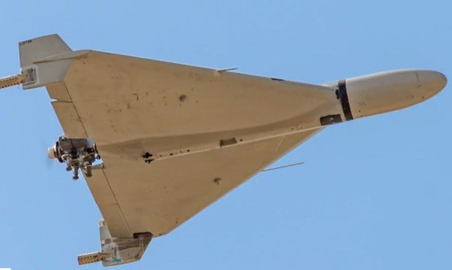 Ukrainian FPV drones shoot down Russian UAVs